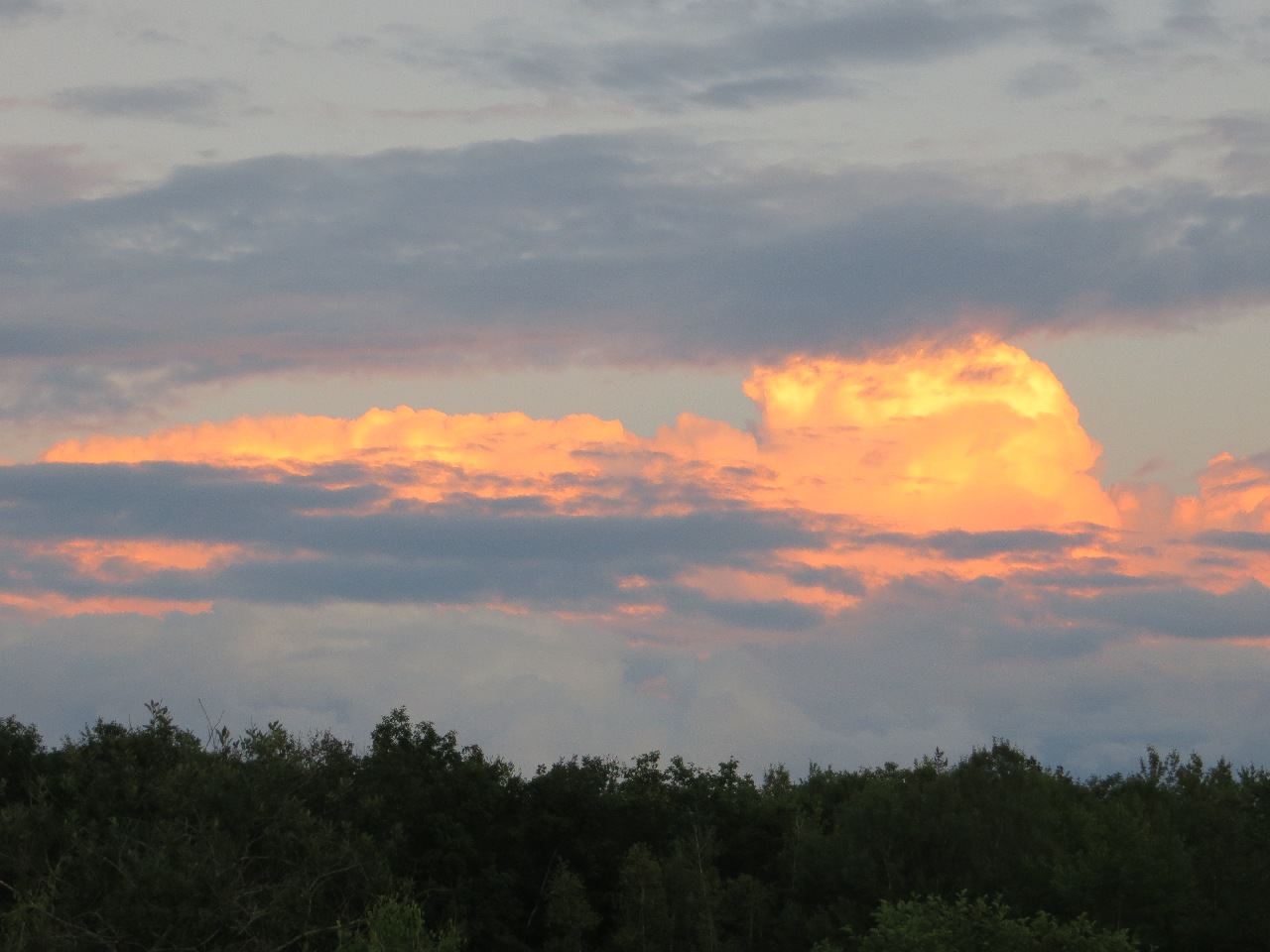 The eastern sky over a dark treeline: tall clouds reach up to catch the last rays of the just-set western sun, glowing orange behind the smudgy gray-blue bands of the lower clouds which are already in shadow.